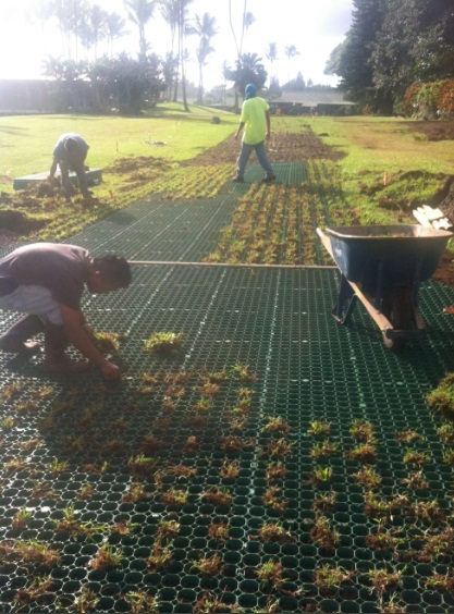 Estabilizador de grava de plástico negro verde hierba de HDPE Grid