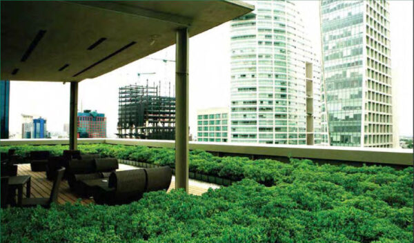 Techo verde con macetas y edificios de fondo