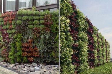 Muro verde con ecomacetas