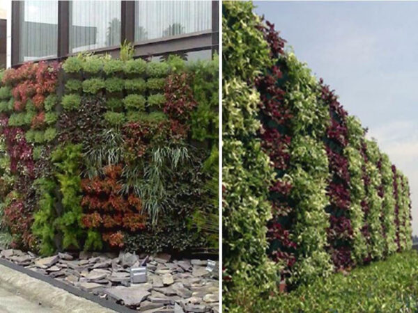 Muro verde con ecomacetas